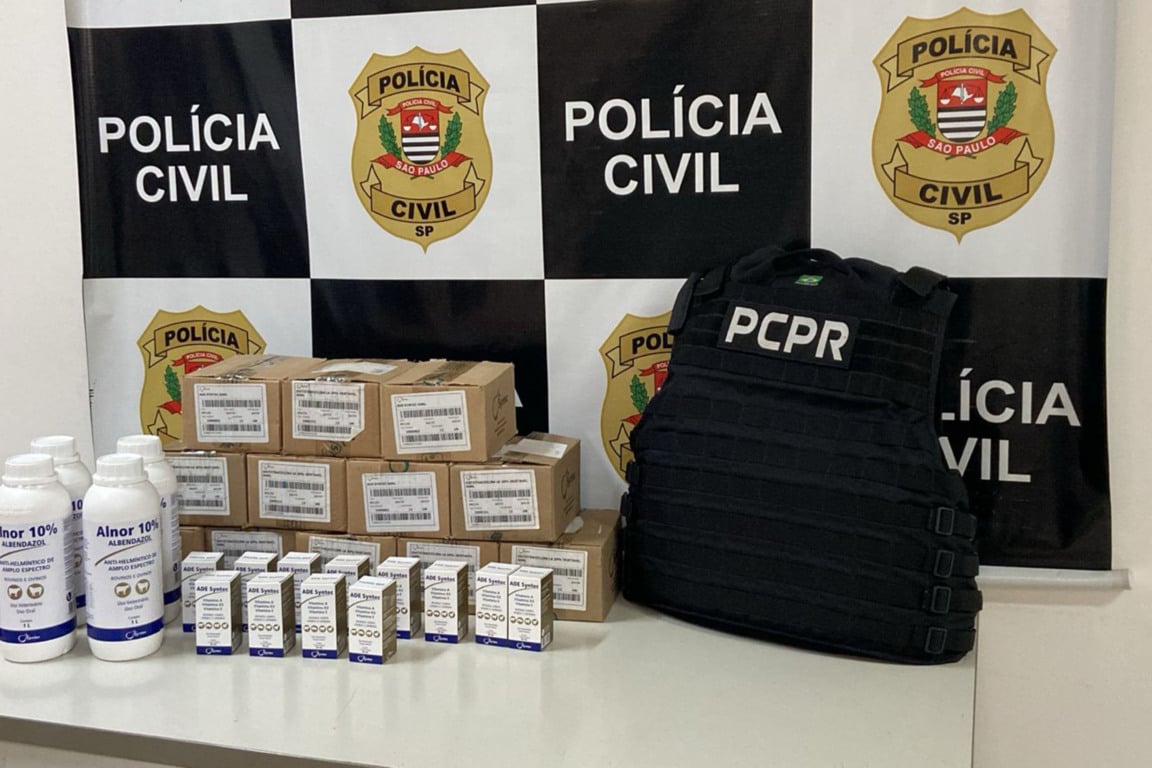 Foto: PCPR
Foto: PCPR