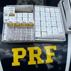 PRF apreende mais de 600 ampolas de medicamentos de emagrecimento na BR-369