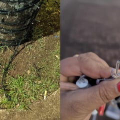 Prefeitura registra atos de vandalismo na decoração de Natal e reforça monitoramento