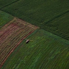 Descubra como o PIB do Paran&aacute; cresceu 2,9% em 2025, superando a m&eacute;dia nacional com destaque para o setor agropecu&aacute;rio - Foto: Jonathan Campos/AEN