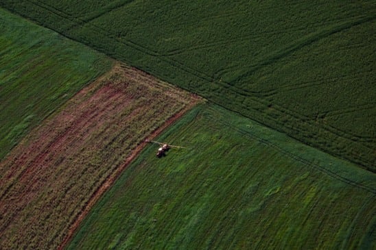 Descubra como o PIB do Paraná cresceu 2,9% em 2025, superando a média nacional com destaque para o setor agropecuário - Foto: Jonathan Campos/AEN