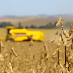 Entenda o dilema do produtor de soja em 2026: vender agora ou esperar? Descubra as raz&otilde;es por tr&aacute;s dessa decis&atilde;o - Fotos: Jaelson Lucas / AEN