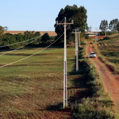 A inseguran&ccedil;a jur&iacute;dica no campo do Paran&aacute; &eacute; debatida. Descubra a mobiliza&ccedil;&atilde;o contra a Lei Estadual n&ordm; 20.081/2019 - Foto: FAEP