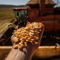 O agroneg&oacute;cio no Brasil continua forte, mesmo com proje&ccedil;&otilde;es de queda de 2% no Valor Bruto da Produ&ccedil;&atilde;o para 2026 - Foto: CNA