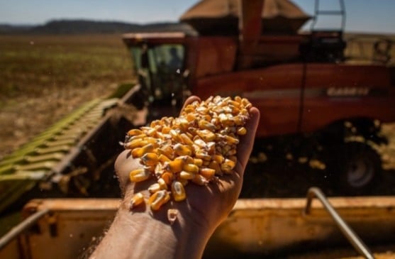 O agronegócio no Brasil continua forte, mesmo com projeções de queda de 2% no Valor Bruto da Produção para 2026 - Foto: CNA