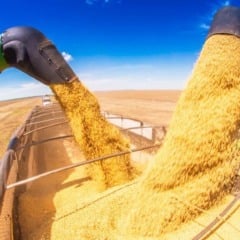 Mesmo sob press&atilde;o do clima e do mercado, cooperativismo segue sustentando