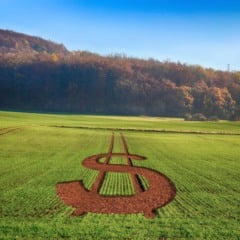 Or&ccedil;amento exp&otilde;e contradi&ccedil;&atilde;o na gest&atilde;o do risco agr&iacute;cola no Brasil, afirma Apepa