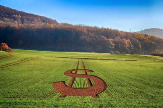 Orçamento expõe contradição na gestão do risco agrícola no Brasil, afirma Apepa