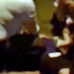 A ação mobilizou fiéis, a Guarda Municipal e equipes da delegacia de plantão - Foto: Divulgação