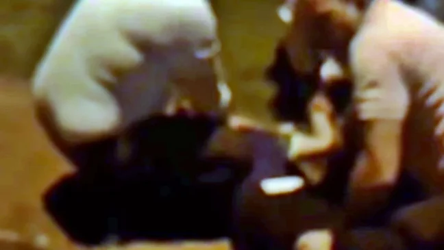 A ação mobilizou fiéis, a Guarda Municipal e equipes da delegacia de plantão - Foto: Divulgação