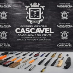 Opera&ccedil;&atilde;o faz internamento involunt&aacute;rio, recupera ve&iacute;culos e retira objetos perfurocortantes das ruas de Cascavel