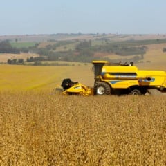 Colheita de soja. Foto: Jaelson Lucas / Arquivo AEN