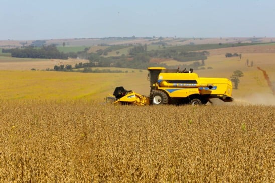 Colheita de soja. Foto: Jaelson Lucas / Arquivo AEN