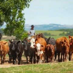 Cr&eacute;dito: Grafaels Fotografia