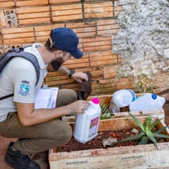 Foto: Divulga&ccedil;&atilde;o/PMFI
