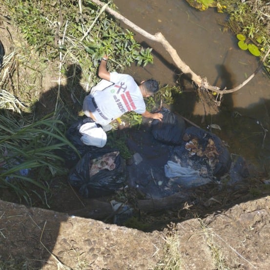 Restos de carne são encontrados descartados irregularmente em córrego no Bairro Neva