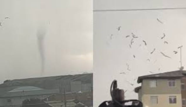 Segundo Bombeiros, tornado em São José dos Pinhais deixou feridos e causou danos em cerca de 250 casas
