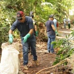 Prefeitura retira mais de 15 toneladas de entulhos em limpeza