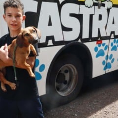 Castram&oacute;vel far&aacute; cerca de 80 castra&ccedil;&otilde;es gratuitas a partir de segunda-feira