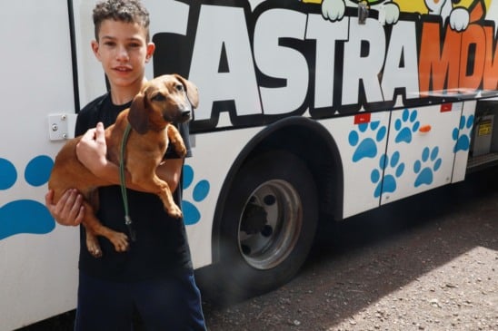 Castramóvel fará cerca de 80 castrações gratuitas a partir de segunda-feira