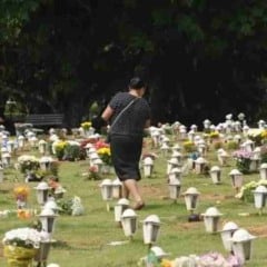 Cães e gatos podem ser sepultados em jazigos familiares em São Paulo