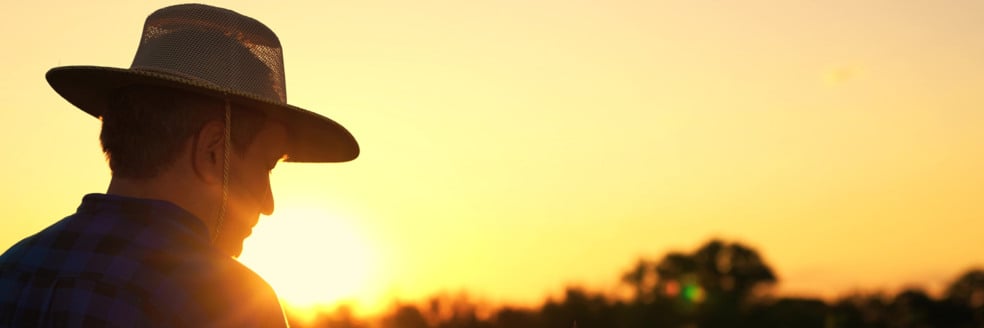 Descubra se o produtor rural deve trocar o chapéu pelo capacete de acordo com o FAEP e as normas de segurança - Foto: FAEP