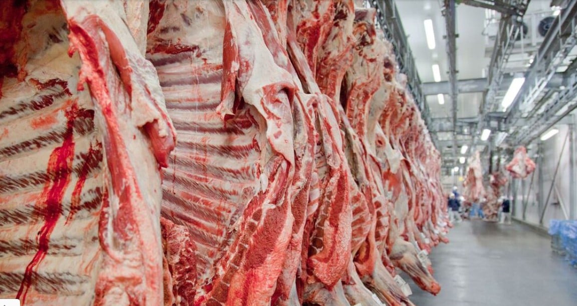 Em 2025, o Brasil alcançou recordes em exportações de carne bovina, destacando-se na balança comercial com resultados surpreendentes - Foto: ABIEC Em 2025, o Brasil alcançou recordes em exportações de carne bovina, destacando-se na balança comercial com resultados surpreendentes - Foto: ABIEC