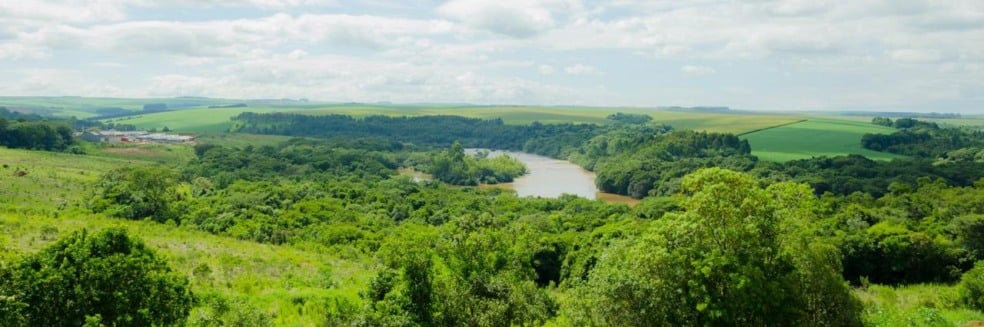 Imagens arquivo Senar