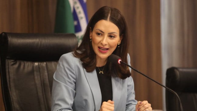 Conheça o projeto da deputada Mabel Canto na Alep que visa respeitar a escolha das gestantes sobre analgesia no parto - Foto: Valdir Amaral/Alep