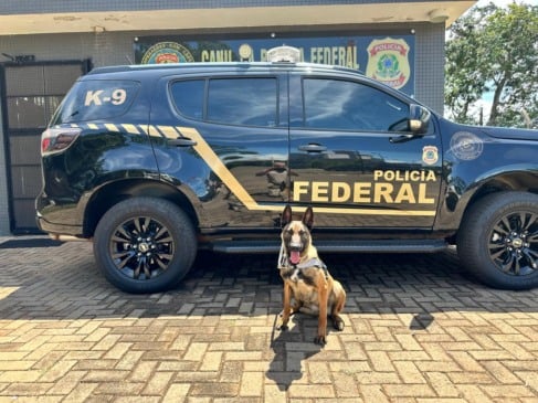 Polícia Federal reforça Canil Regional em Guaíra com nova integrante vinda da Alemanha