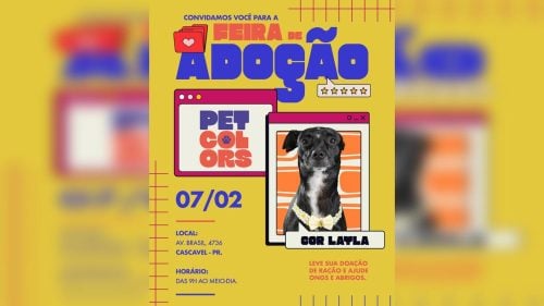 Cascavel recebe Feira de Adoção Pet Colors em parceria com Ongs da cidade Cascavel recebe Feira de Adoção Pet Colors em parceria com Ongs da cidade