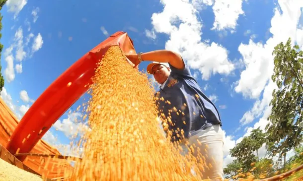 Saiba mais sobre a produção de grãos no Brasil e como ela deve atingir um novo recorde na safra 2025/26 com 353,4 milhões de toneladas - Foto: refeitura de Campo Grande/Divulgação