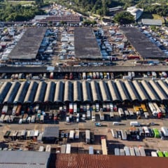 Confira os horários de funcionamento das Ceasas em Curitiba, Londrina, Maringá, Cascavel e Foz do Iguaçu durante o Carnaval - Foto: Roberto Dziura Jr/AEN