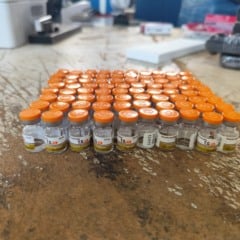 Na fronteira: Receita Federal apreende R$ 137 mil em medicamentos emagrecedores em &ocirc;nibus de linha