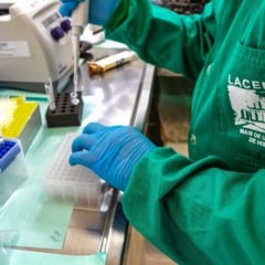 Paran&aacute; &eacute; destaque em revista internacional por lideran&ccedil;a na vigil&acirc;ncia de superbact&eacute;rias