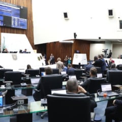 Iniciativa prev&ecirc; que a campanha seja realizada anualmente na &uacute;ltima semana do m&ecirc;s de novembro.
Cr&eacute;ditos: Orlando Kissner/Alep