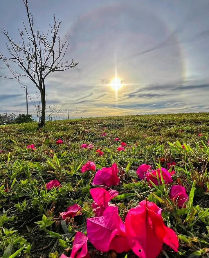 Cascavel registra 9,4°C ao amanhecer, mas sol deve predominar durante o dia