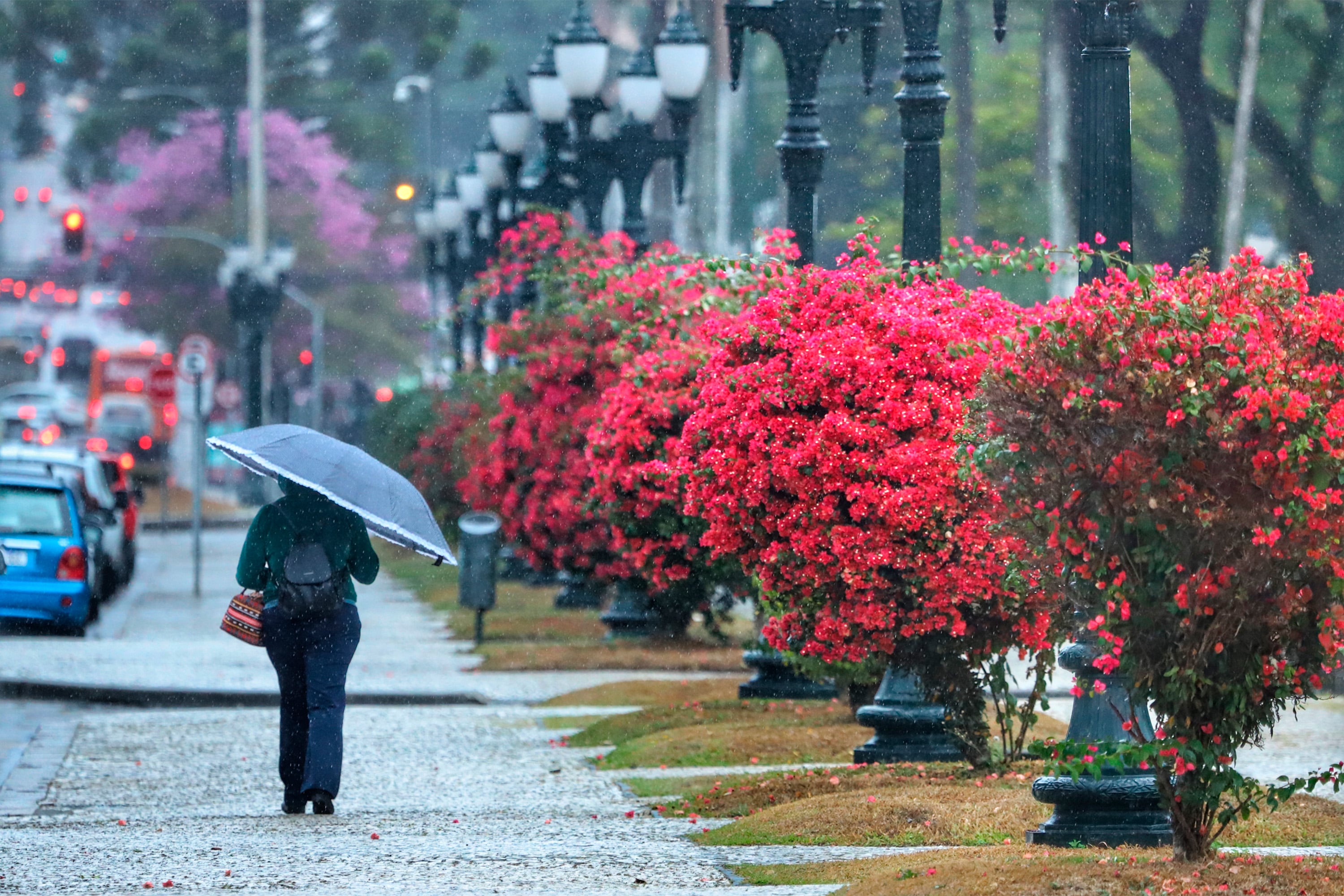 Chuva volta ao Paraná e permanece até terça-feira