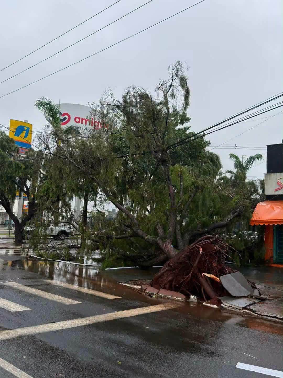 Primavera chega após temporais deixar rastro de destruição no Paraná