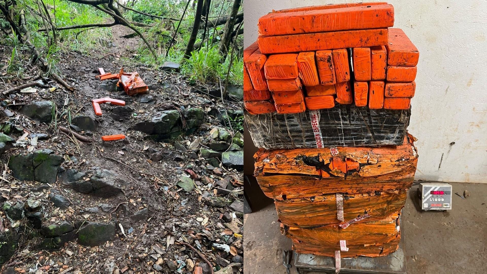 Forças de segurança apreendem 139,7 kg de maconha às margens do Rio Paraná em Foz