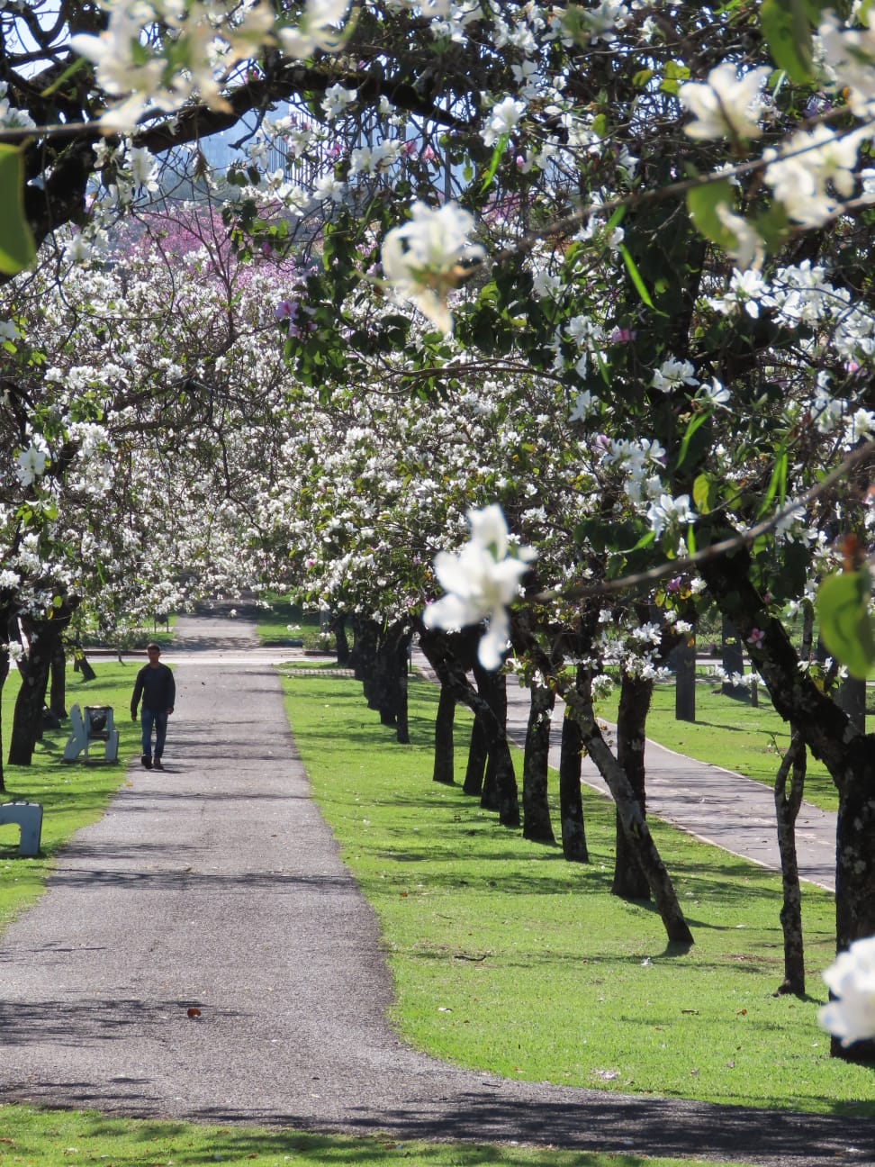 Como será o clima no Paraná durante a primavera?