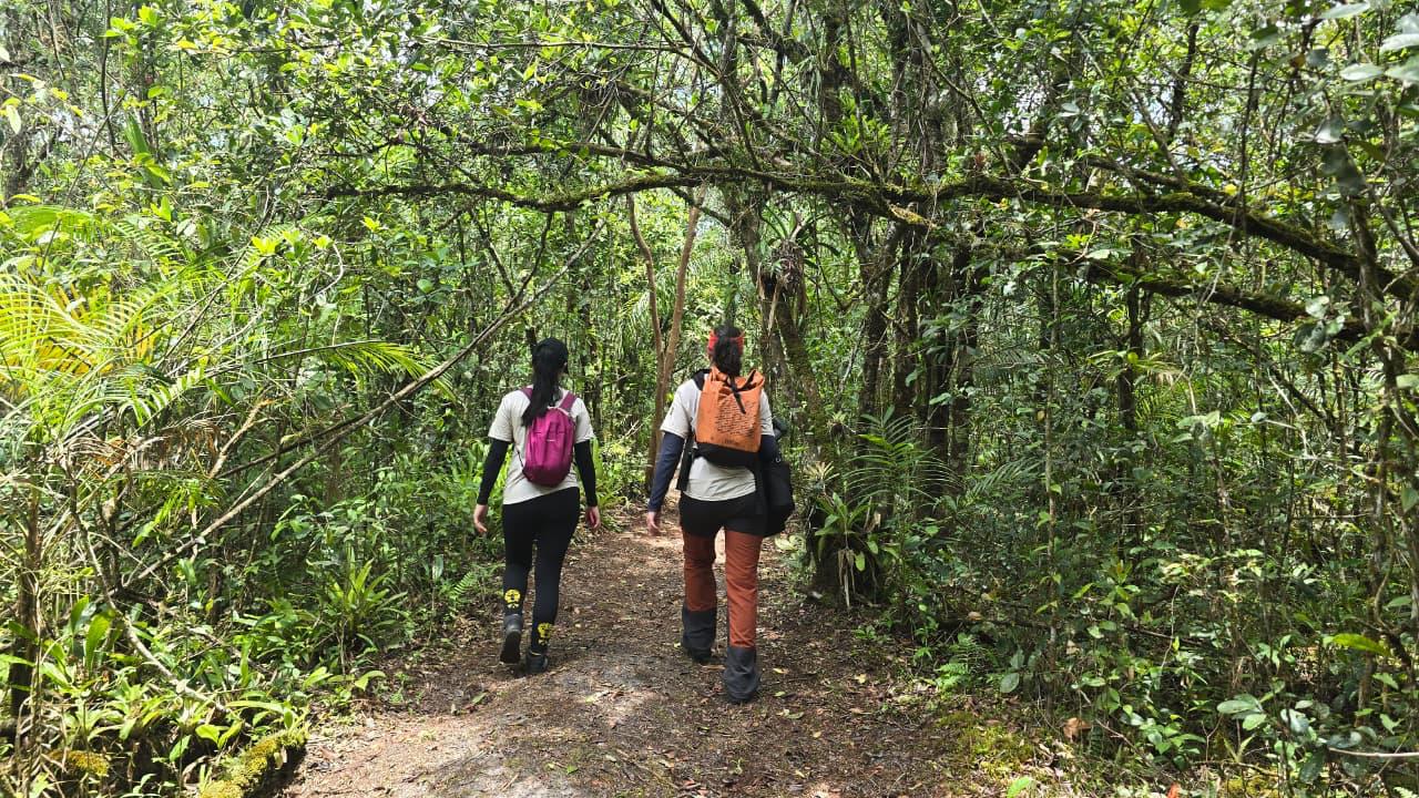 Parque Nacional do Iguaçu vai receber congresso internacional de trilhas em novembro