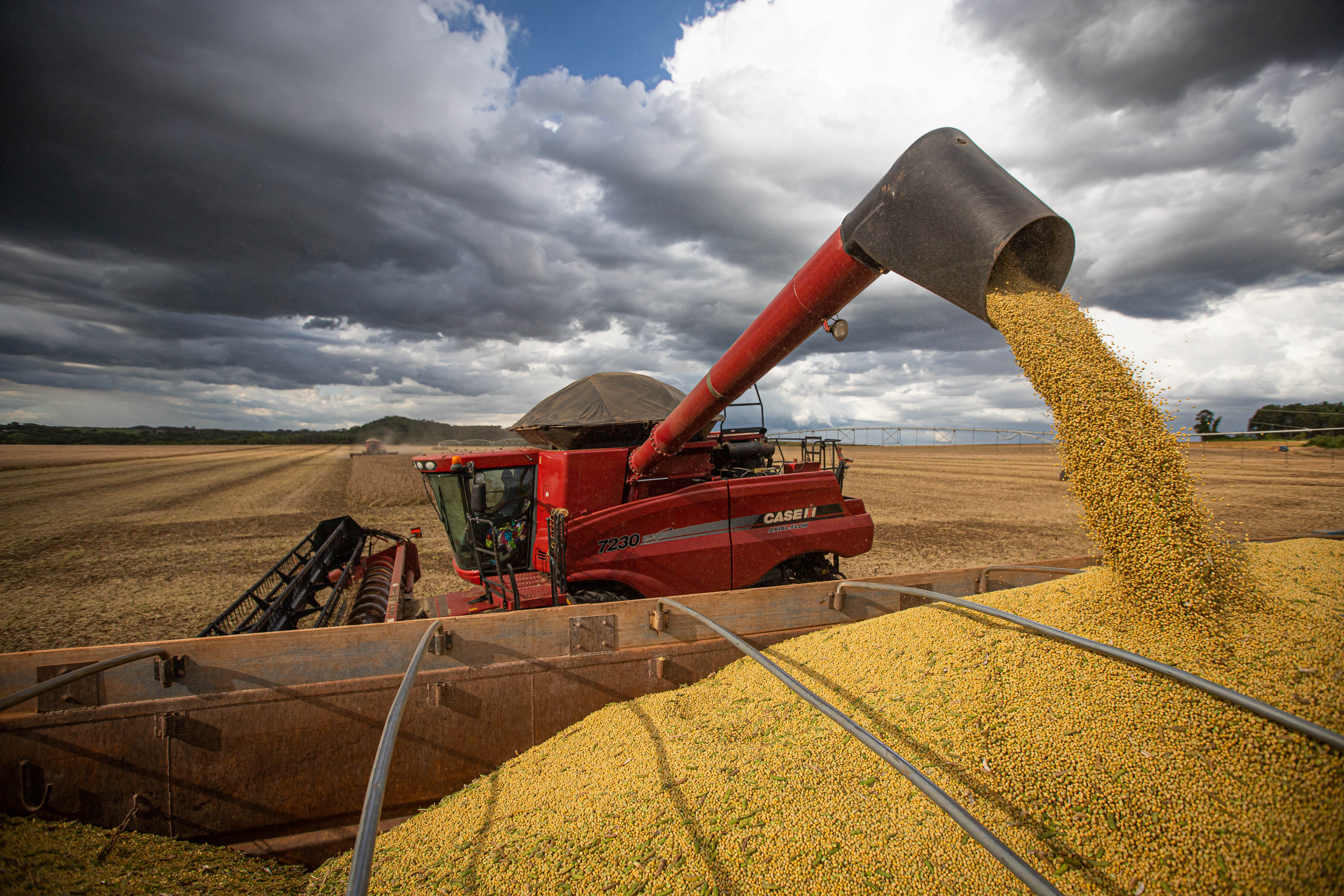 Agro brasileiro alcança R$ 1,44 tri, com destaques para a soja e o boi