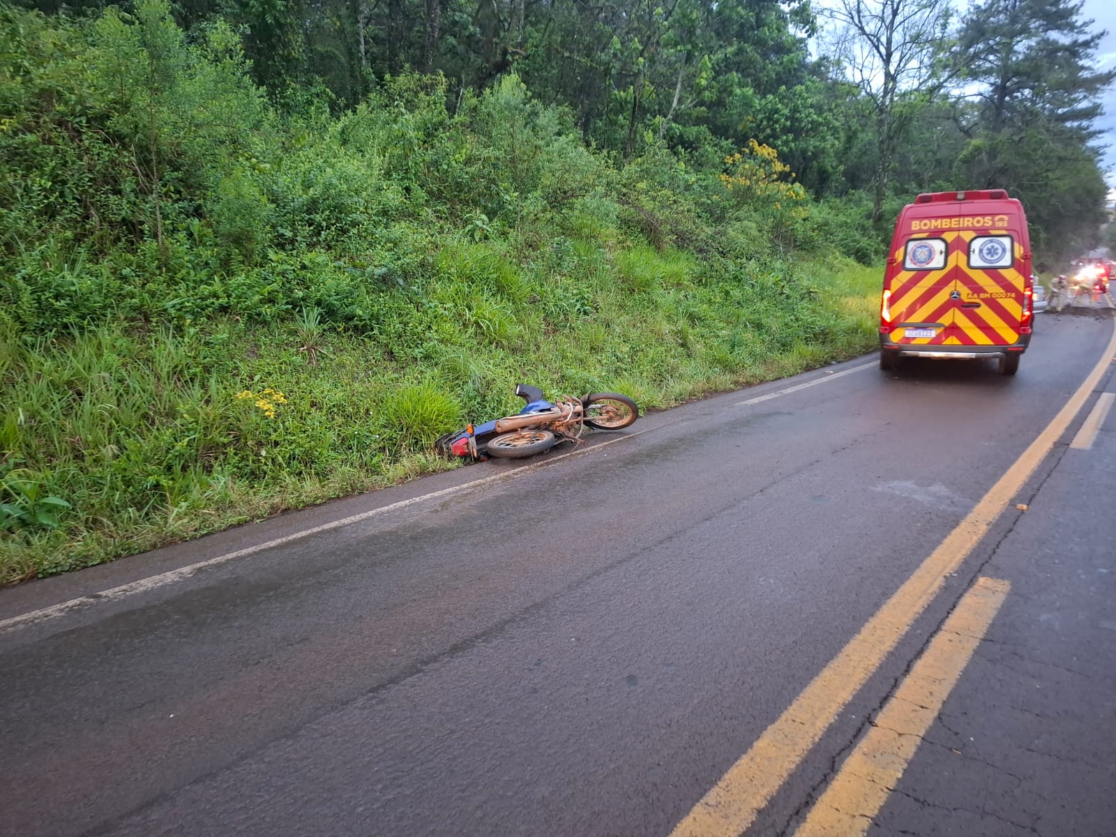 Árvore caída na PR-180 provoca acidente entre carro e moto em Cascavel