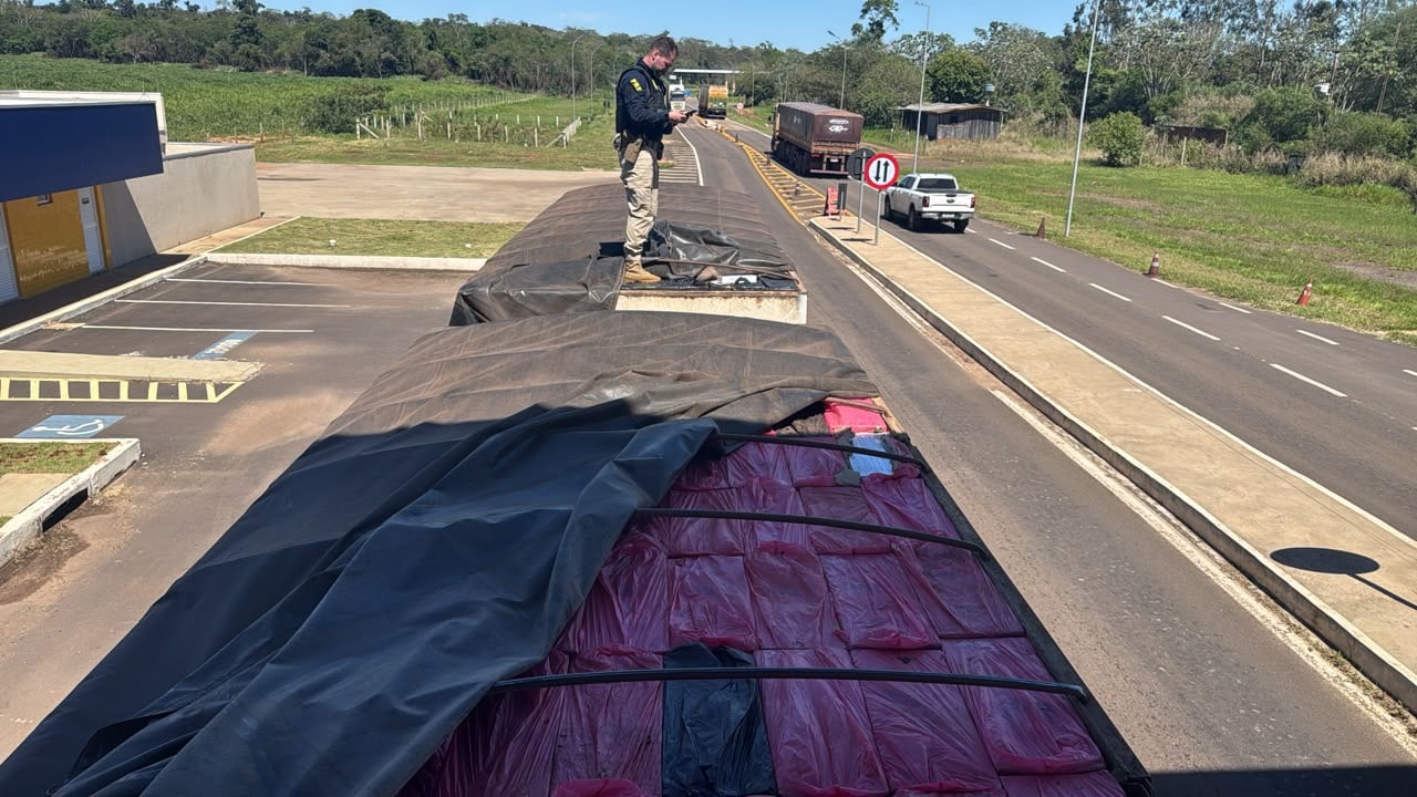 Motorista diz transportar milho, mas PRF encontra 600 mil maços de cigarros contrabandeados em carreta no Paraná