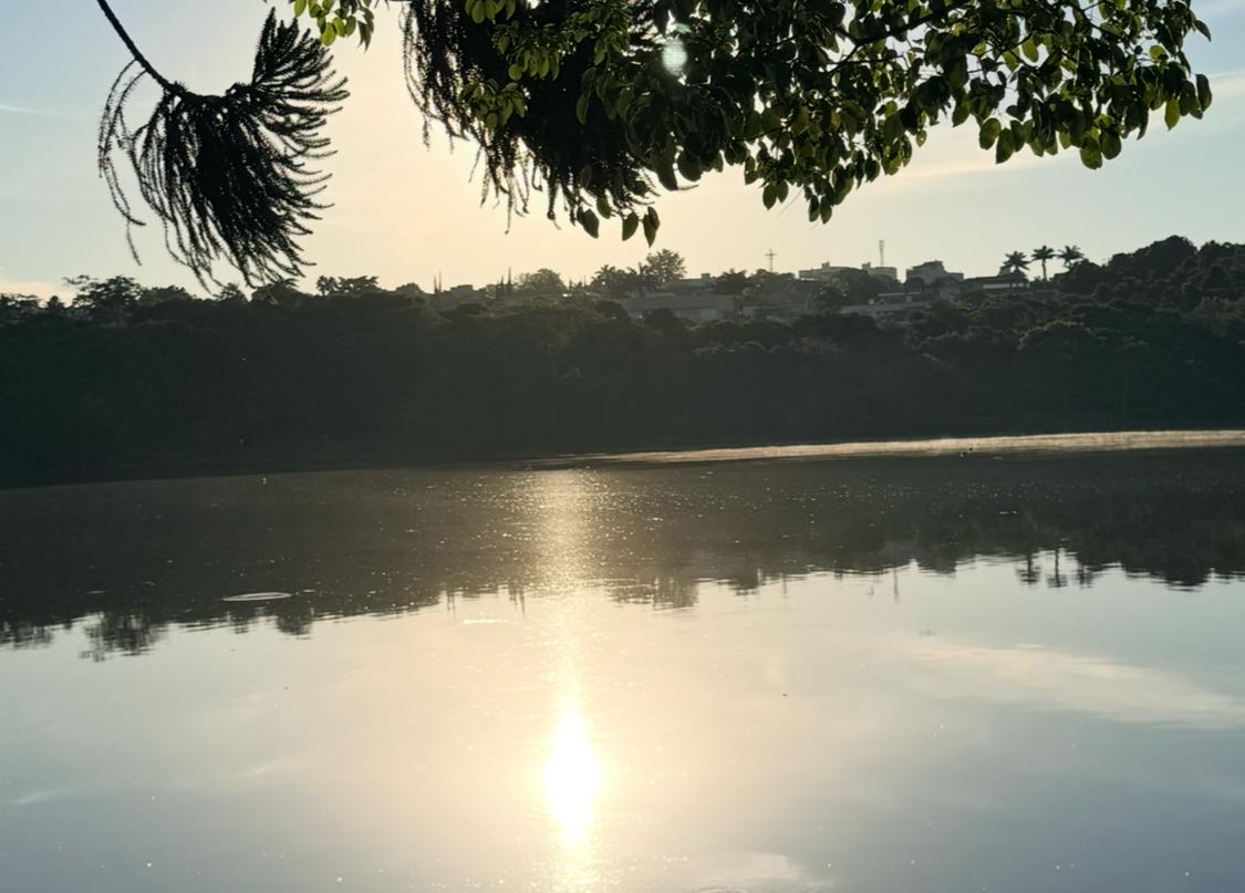 Cascavel começa a semana com sol, vento frio e sensação térmica de 15°C