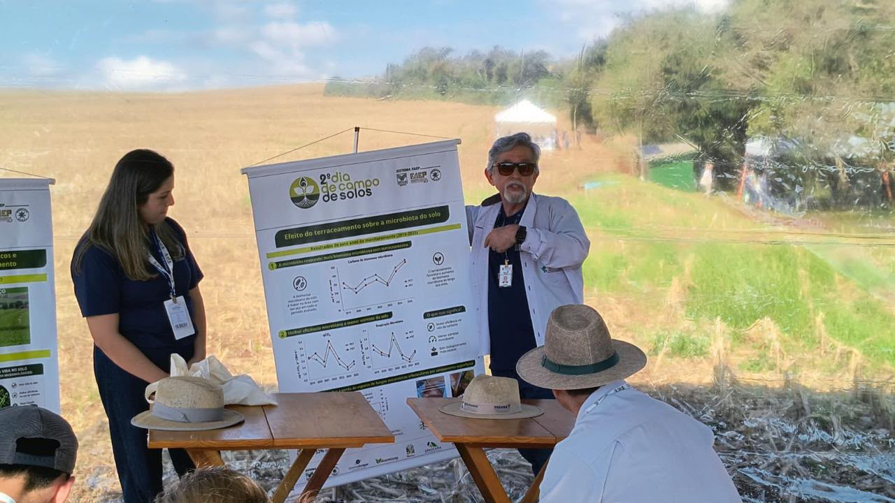 ‘Vida invisível’ garante lavouras mais produtivas e economia com adubo