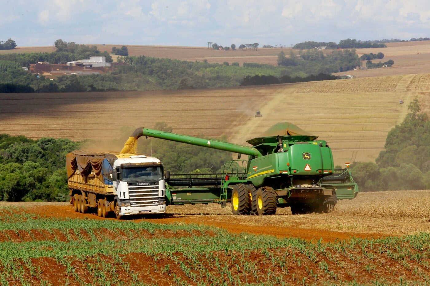 Safra de soja deve crescer 4% e alcançar 22,75 milhões de toneladas no Paraná