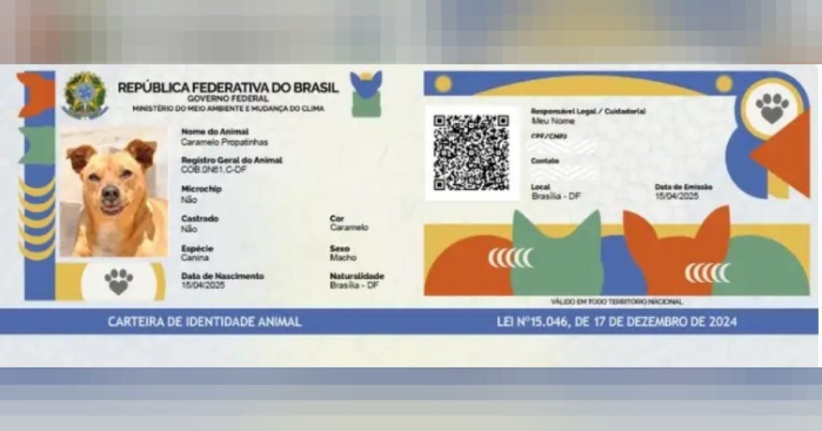 SinPatinhas: Paraná tem 166 mil animais domésticos cadastrados