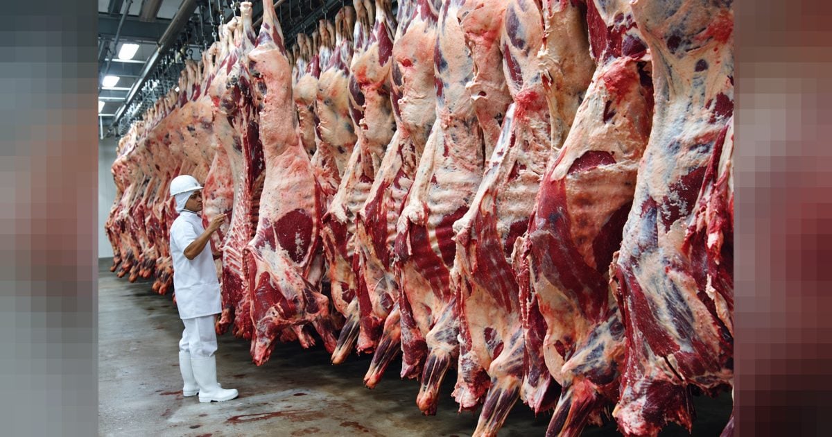 Carne bovina: busca por novos mercados é a forma de escapar da taxação chinesa